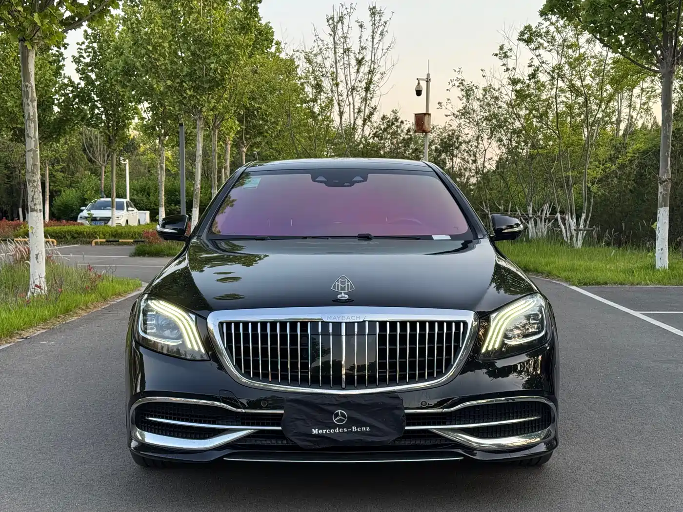 Mercedes-Benz Maybach S-Class 2019 S 560 4MATIC фото 2