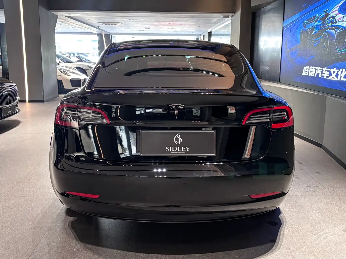 TESLA MODEL 3