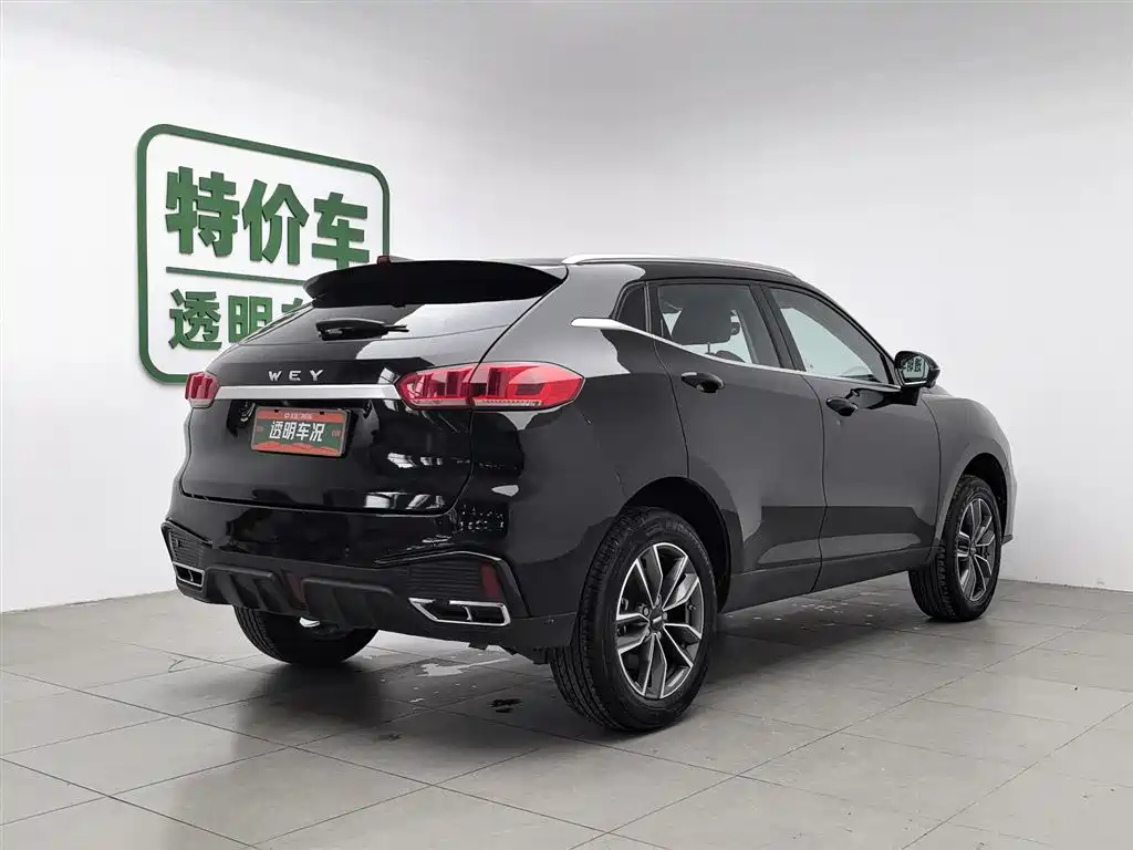 WEI PAI WEI BRAND VV5