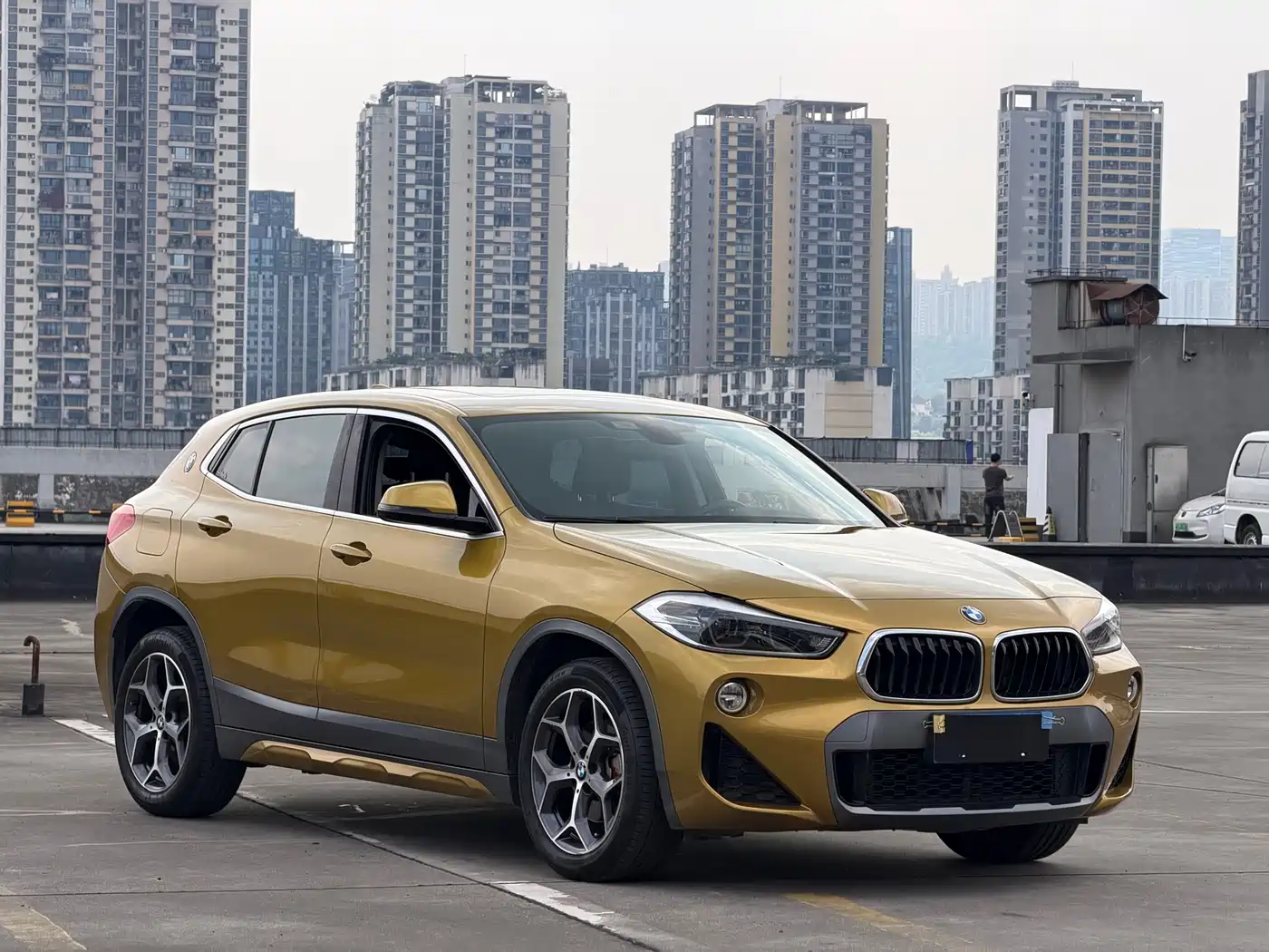 BMW X2 (Import) 2019 sDrive20i M Off-Road Package China VI фото 2