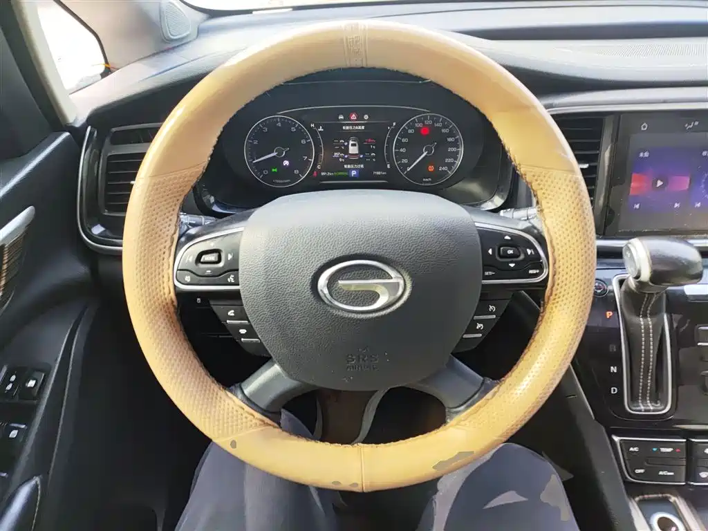 GAC Trumpchi Trumpchi M8 2020 Pilot 390T Premium Edition фото 11