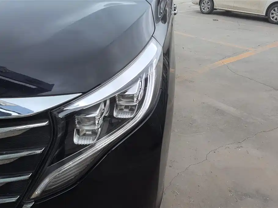 GAC Trumpchi Trumpchi M8 2018 320T Exclusive Edition фото 5