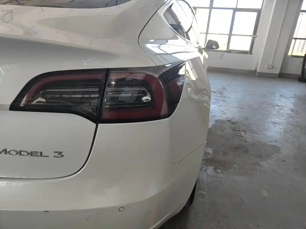 Tesla Model 3 2020 2020 Standard Range Rear-Wheel Drive Upgrade