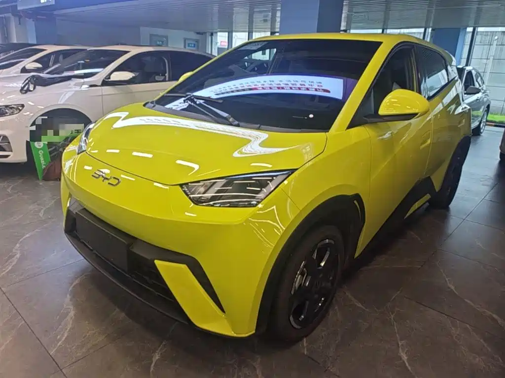 BYD Seagull 2024 Glory Edition 305km Freedom Edition фото 2