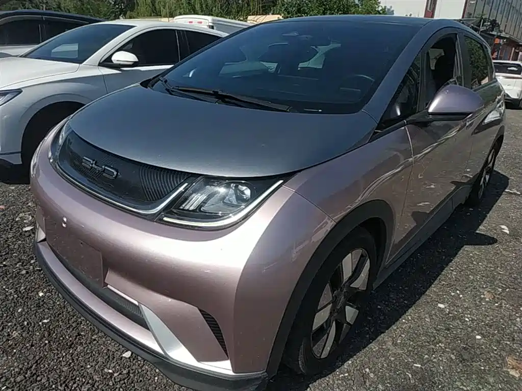 BYD Dolphin 2021 401km Knight Edition