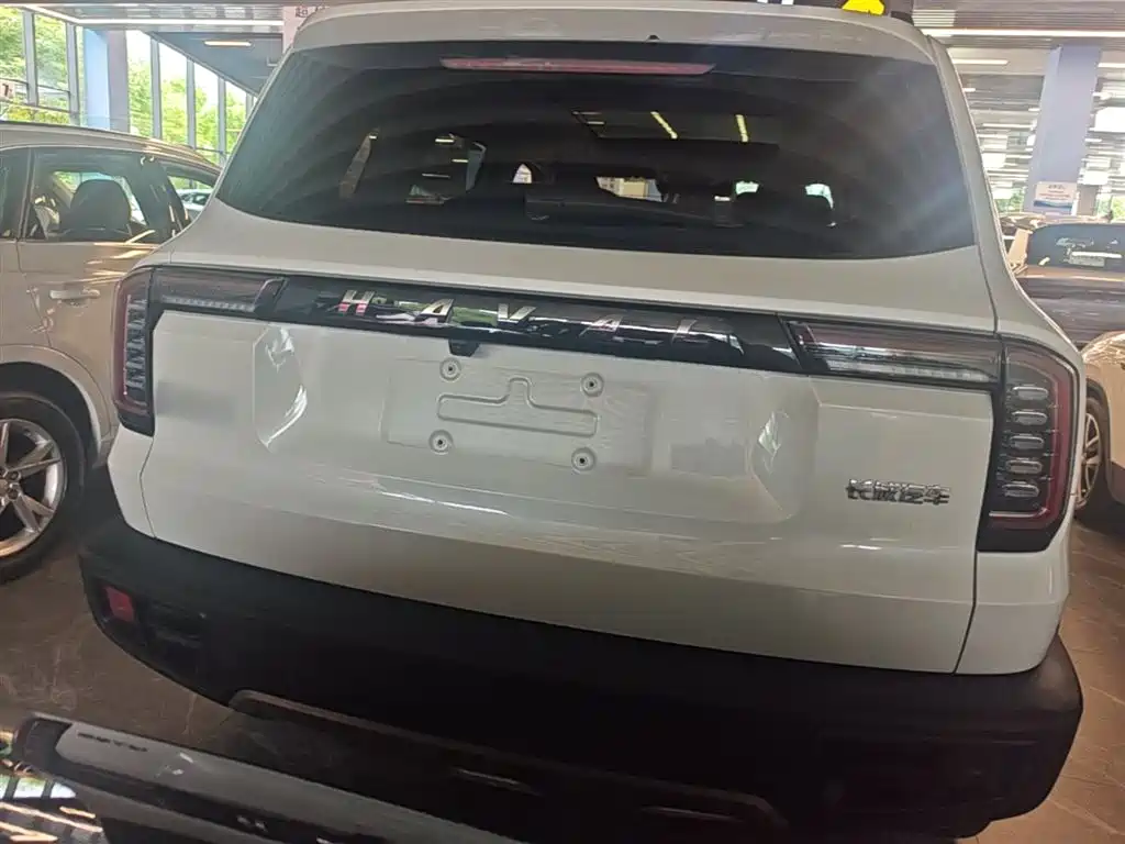 Haval Big Dog 2022 1.5T DCT FWD Border Collie Edition фото 6
