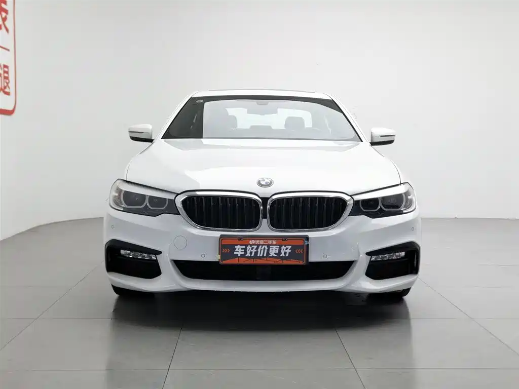 BMW 5 Series (Import) 2018 525i M Sport Package фото 3