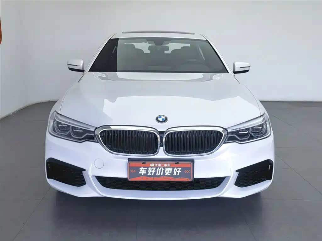 BMW 5 Series 2020 530Li Leading M Sport Package фото 3