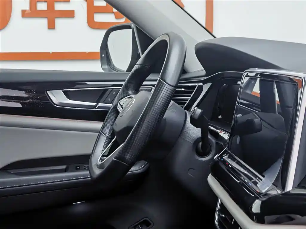 Volkswagen Teramont 2021 380TSI 4WD Premium Luxury Edition фото 22