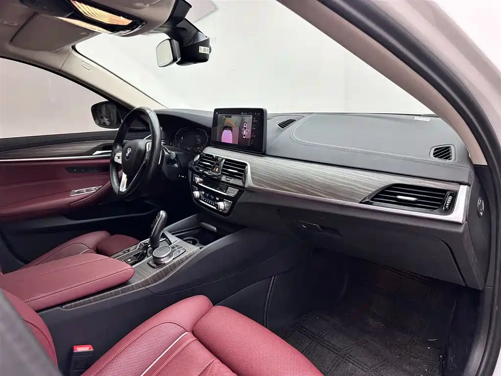 BMW 5 Series 2021 530Li Premium Luxury Package фото 11