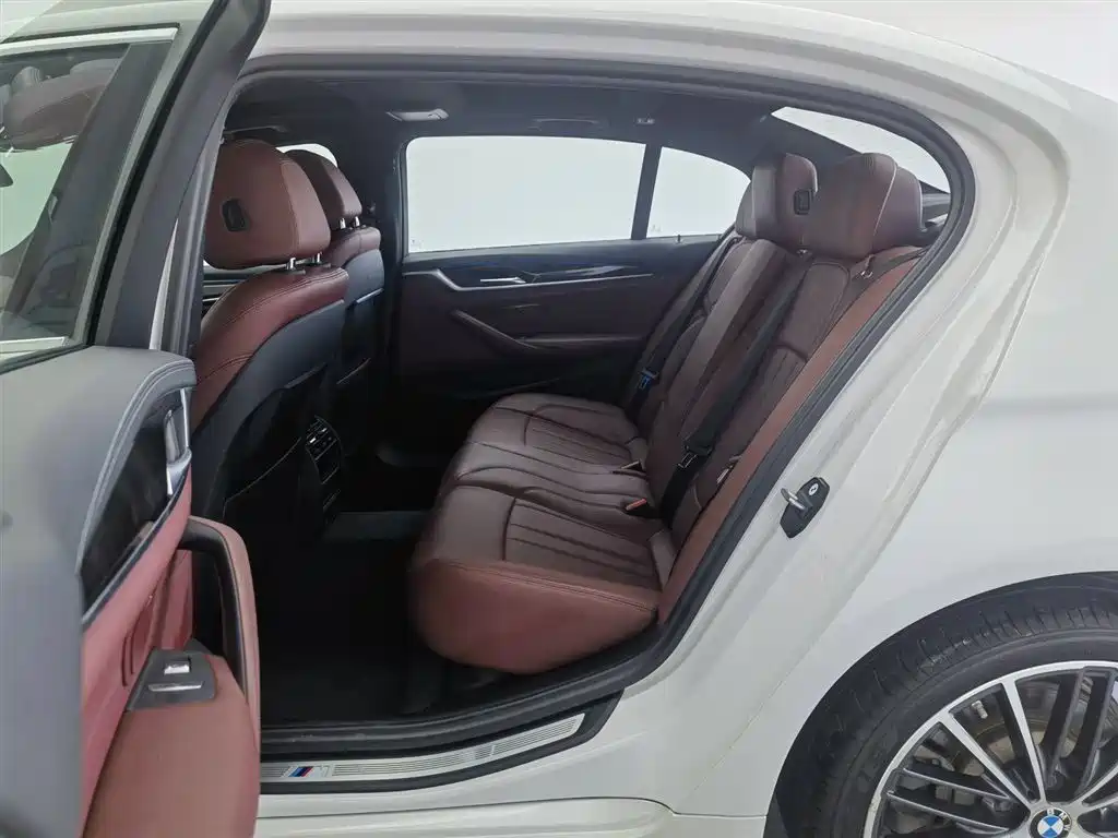 BMW 5 Series 2020 530Li Leading M Sport Package фото 15