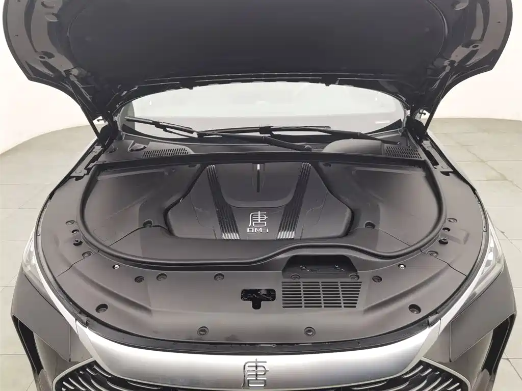 BYD Tang New Energy 2025 DM-i 115KM Prestige Type фото 6