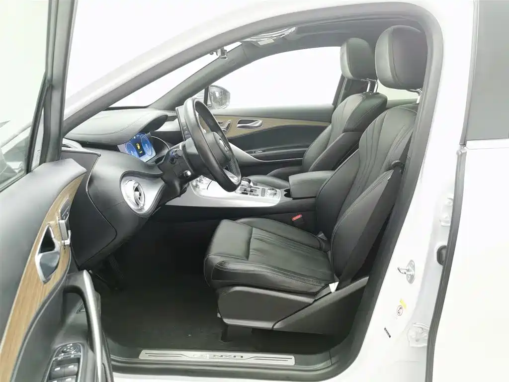 Denza X 2020 PHEV Classic Edition фото 10
