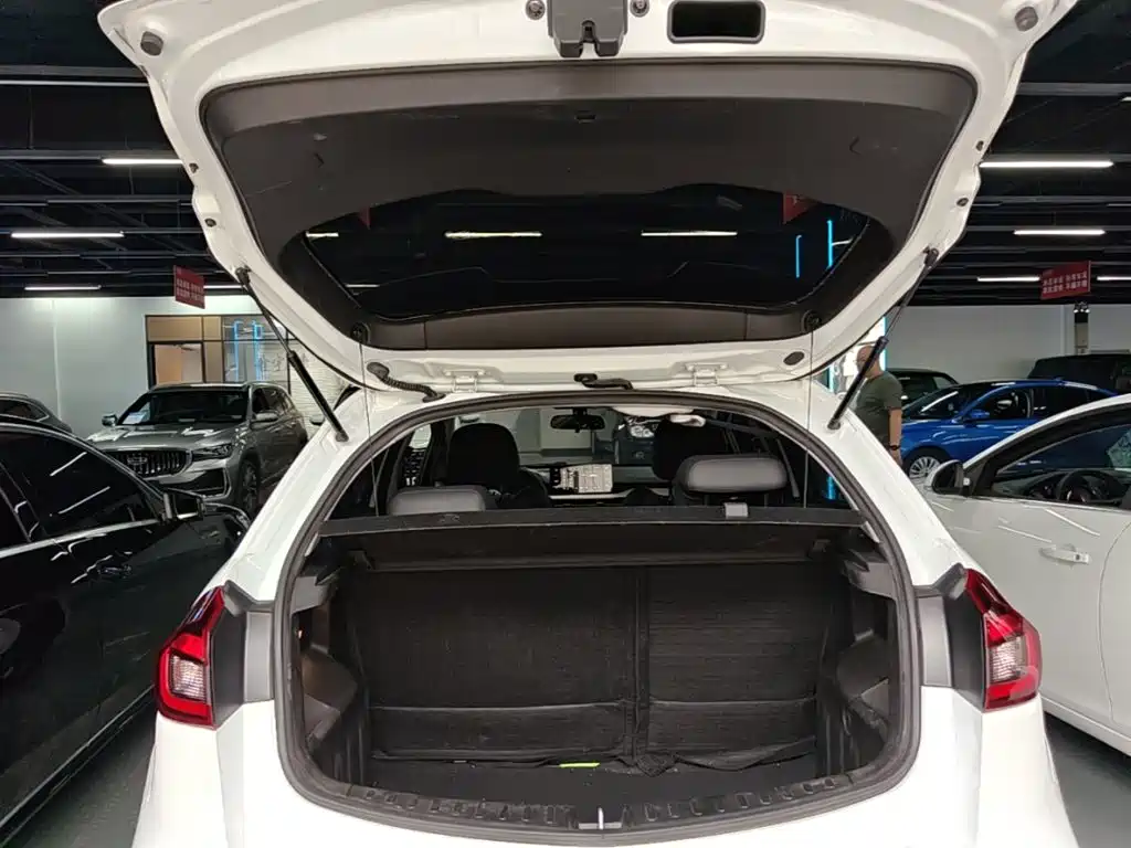Geely Vision X3 2022 2021 PRO 1.5L CVT Premium