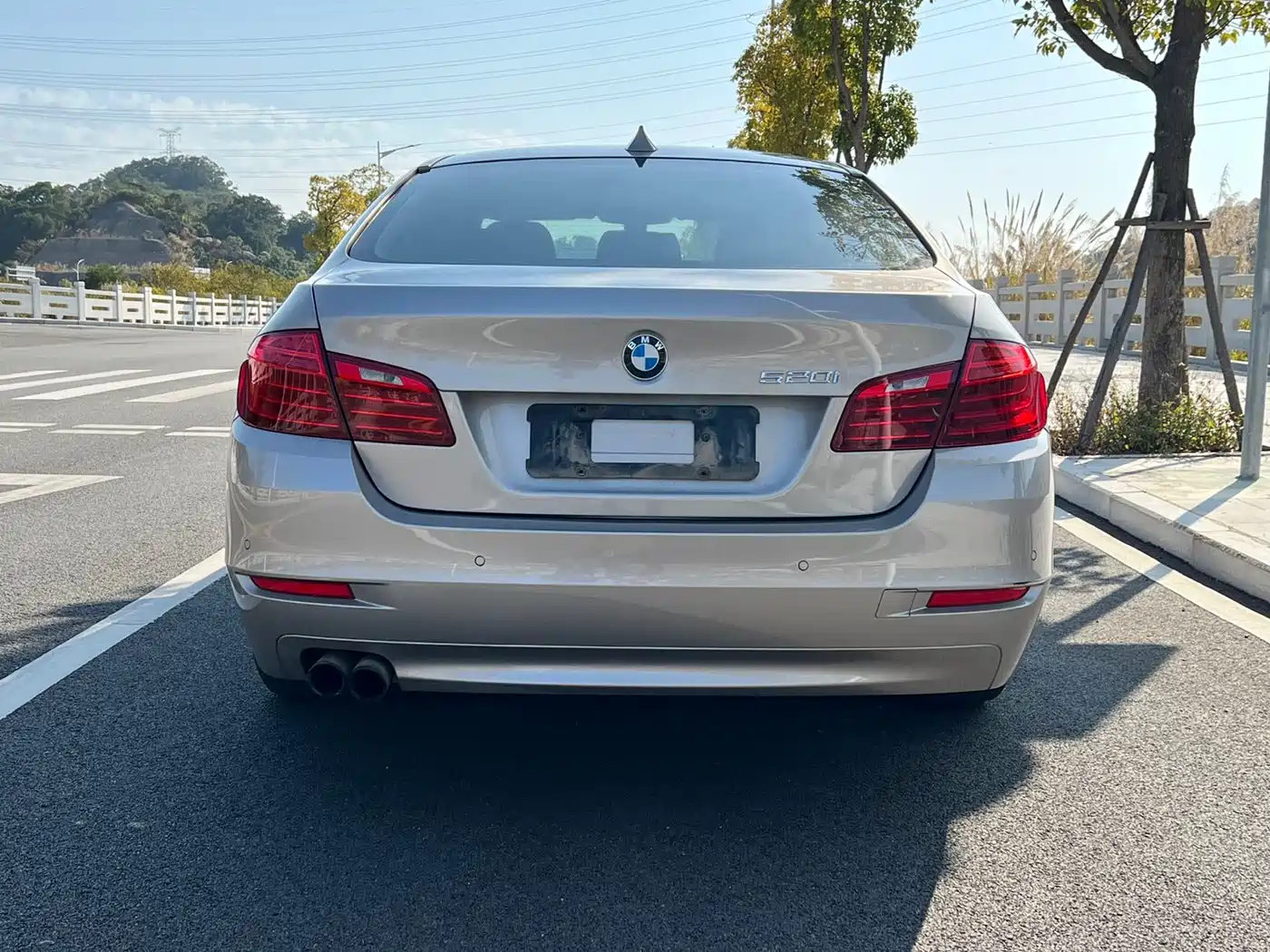 BMW 5 Series (Import) 2014 520i Classic фото 10
