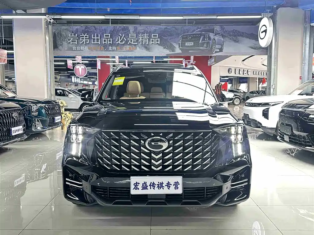 GAC Trumpchi Trumpchi GS8 2025 Pilot Series 2.0TGDI 2WD Luxury Edition 5-seater фото 4