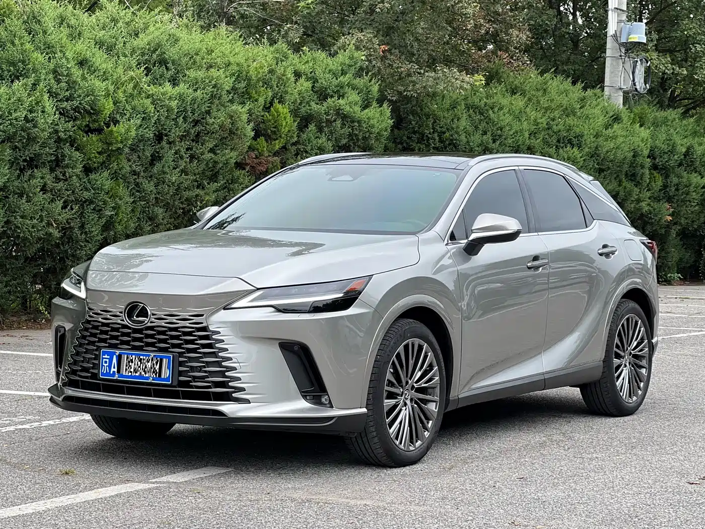 2025 Lexus RX