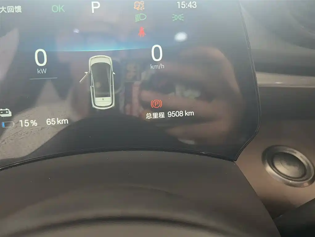 BYD Dolphin 2025 420km Fashion Edition фото 13
