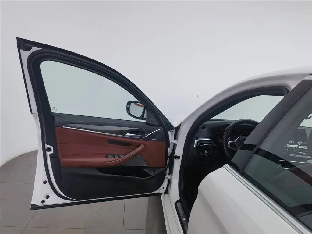 BMW 5 Series 2020 530Li Leading M Sport Package фото 8