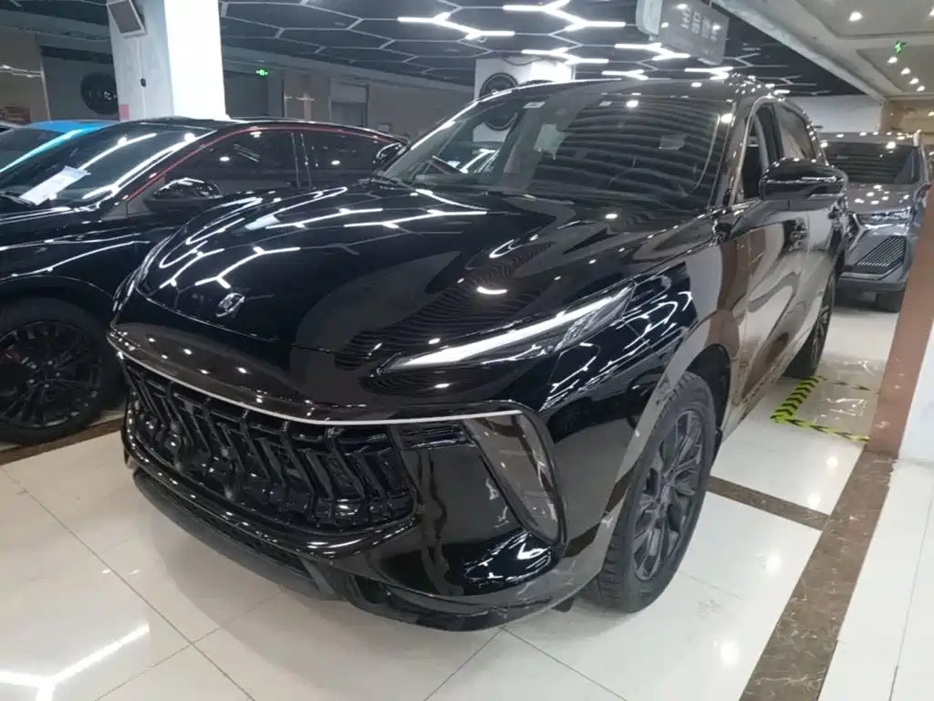 Dongfeng Fengxing Fengxing T5 EVO 2023 2021 1.5TD DCT Diamond Edition