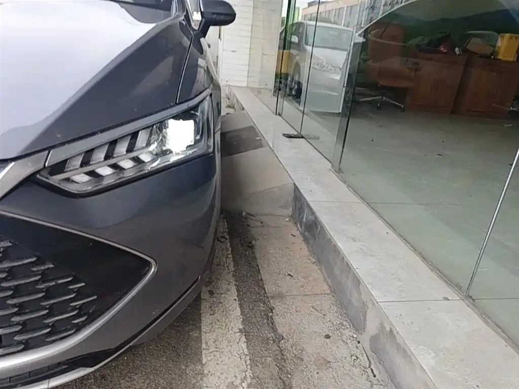 BYD Qin PLUS 2023 Champion Edition DM-i 55KM Leading фото 24