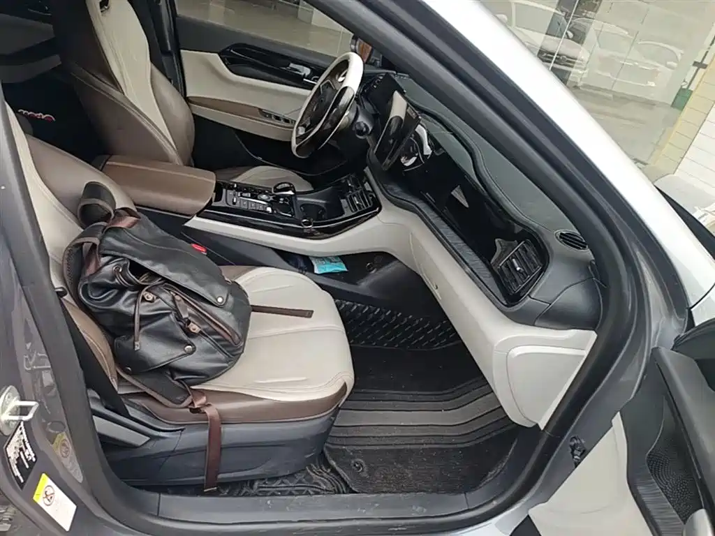 BYD Qin PLUS 2023 Champion Edition DM-i 55KM Leading фото 25