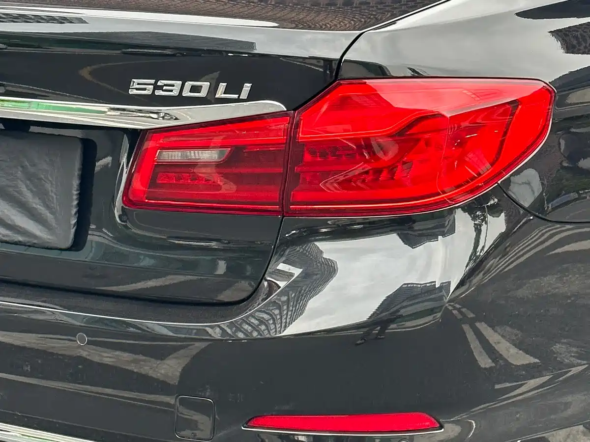 BMW 5 Series 2020 530Li Leading Luxury Package фото 20