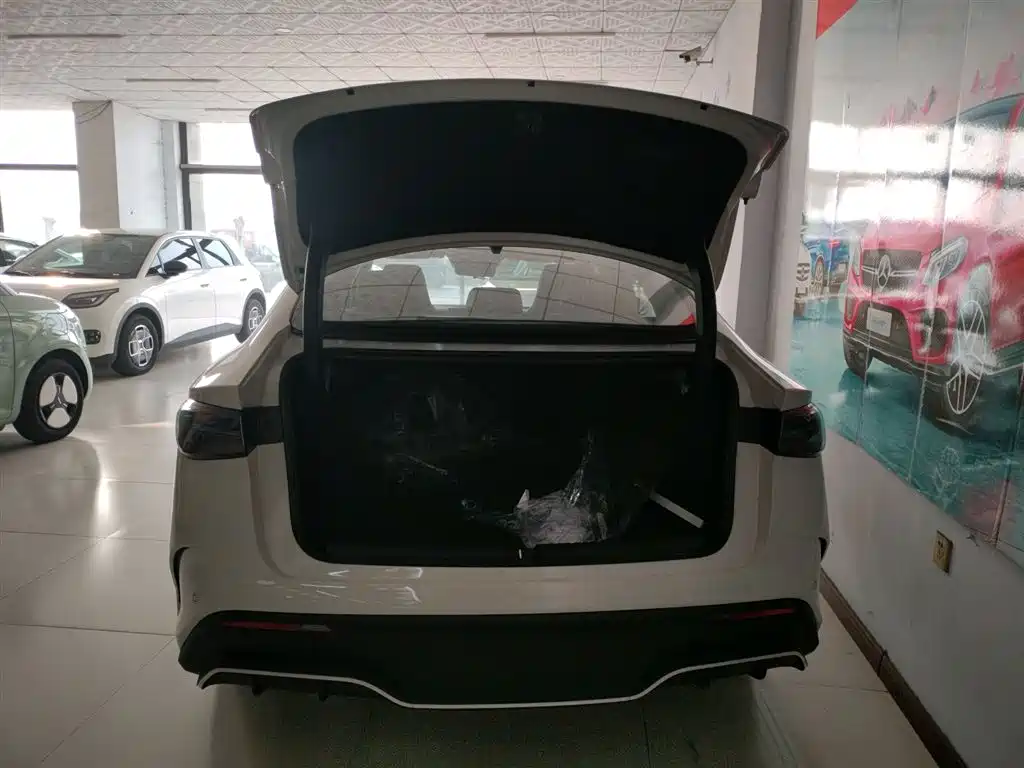 BYD Seal 06 New Energy 2025 DM-i Smart Drive 80KM Luxury фото 19