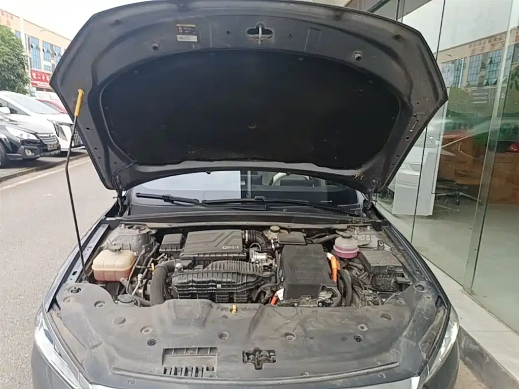 BYD Qin PLUS 2023 Champion Edition DM-i 55KM Leading фото 20