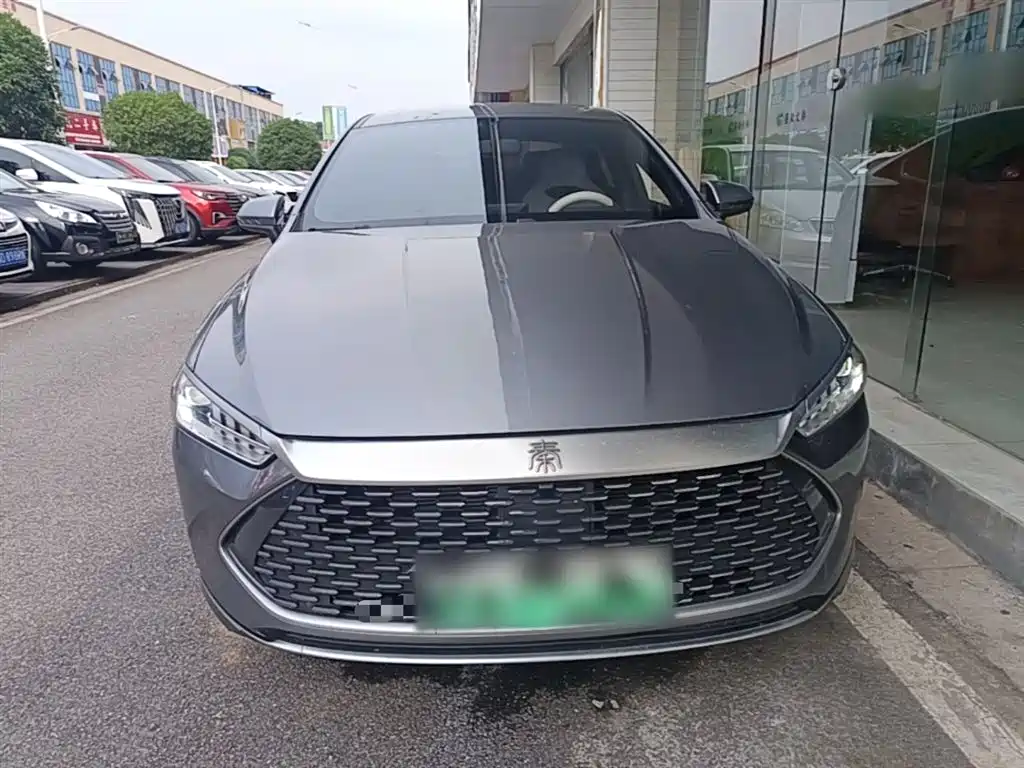 BYD Qin PLUS 2023 Champion Edition DM-i 55KM Leading фото 3