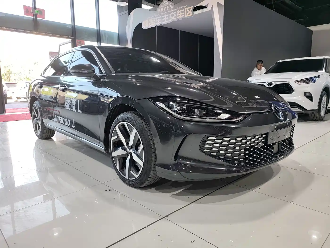 VOLKSWAGEN LINGDU