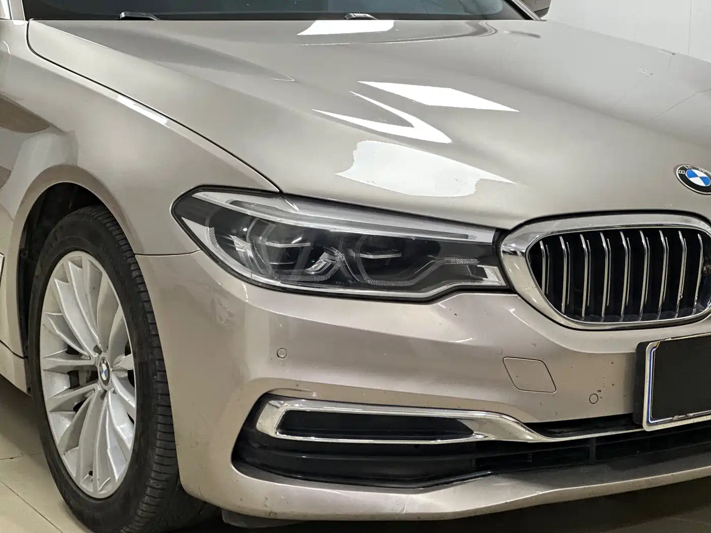 BMW 5 Series 2020 530Li Leading Luxury Package фото 3