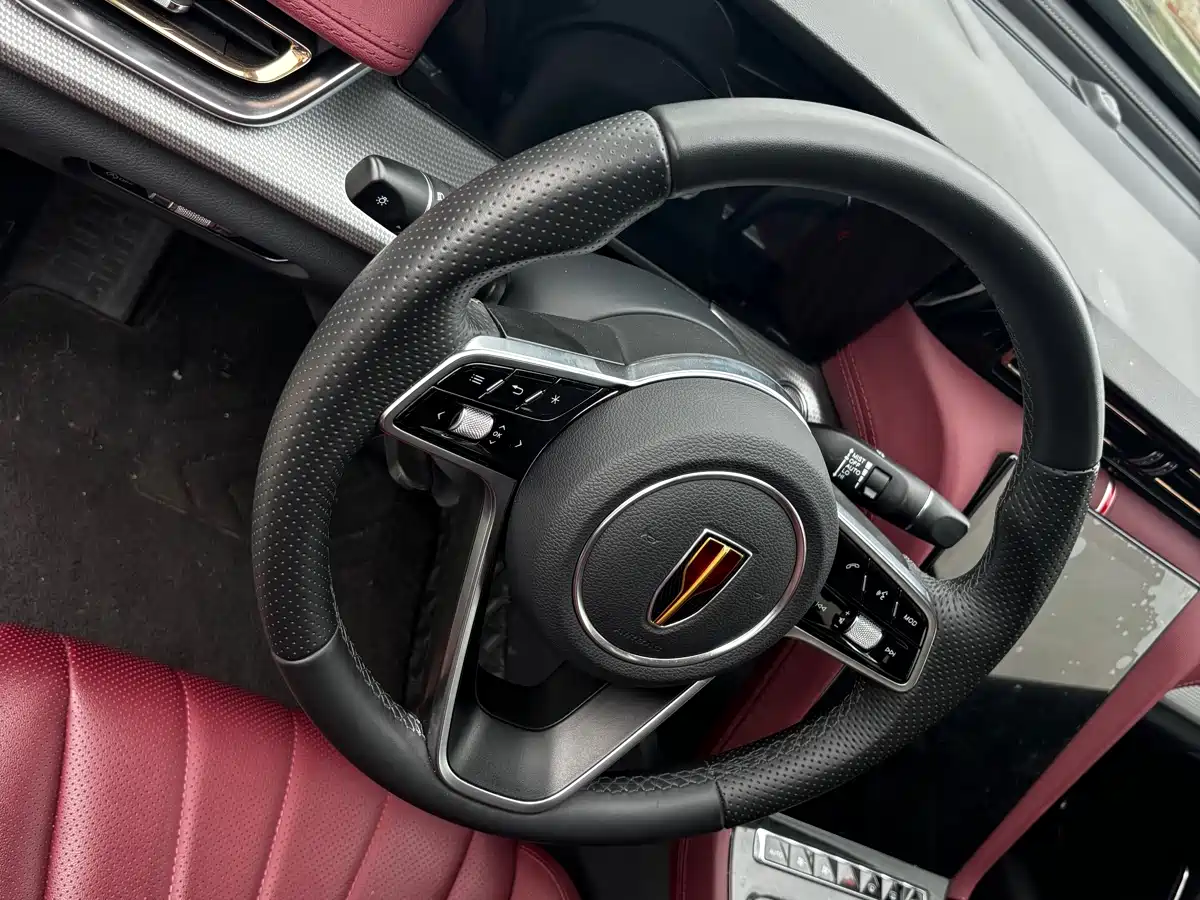 Hongqi H5 2023 1.5T DCT Smart Connect Joy Edition фото 10