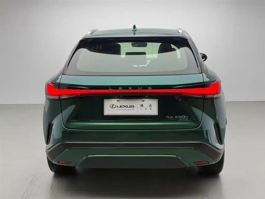 Lexus RX 2023 350h 4WD Pure Edition фото 19