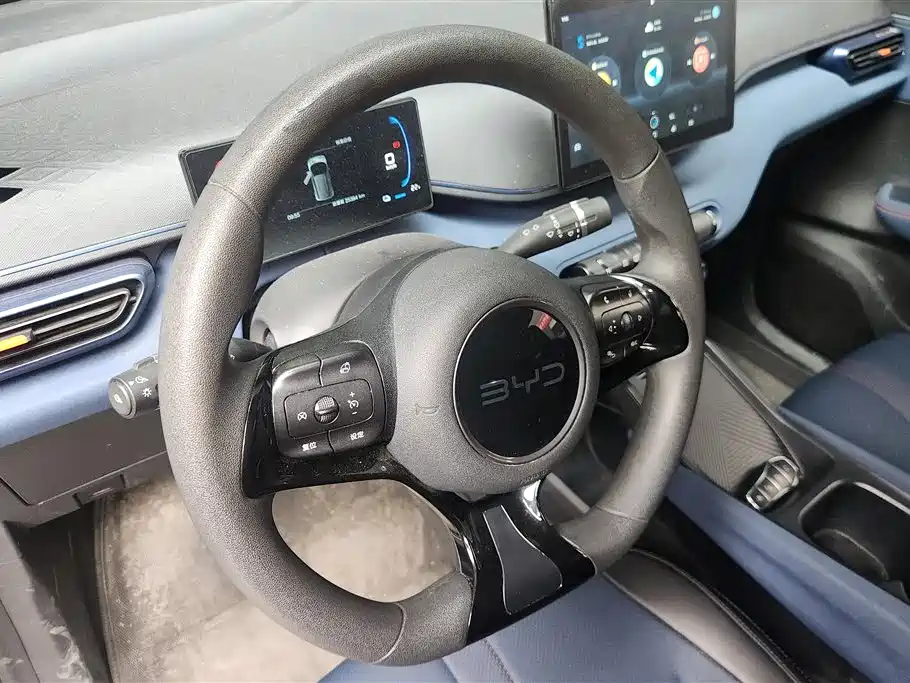 BYD Seagull 2024 Glory Edition 305km Vitality Edition фото 15