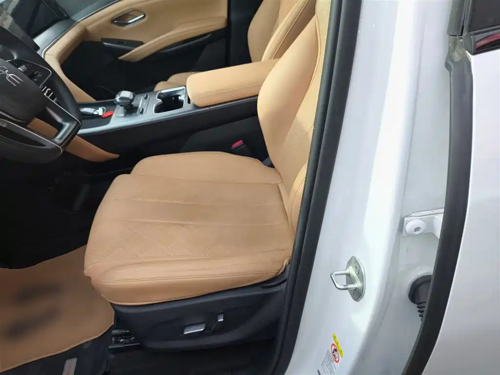 BYD Song L DM-i 2024 112km Leading Edition фото 15