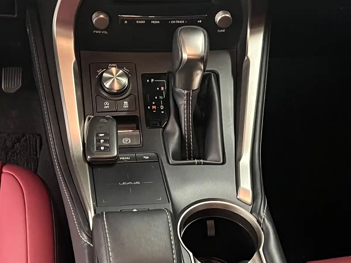 LEXUS NX