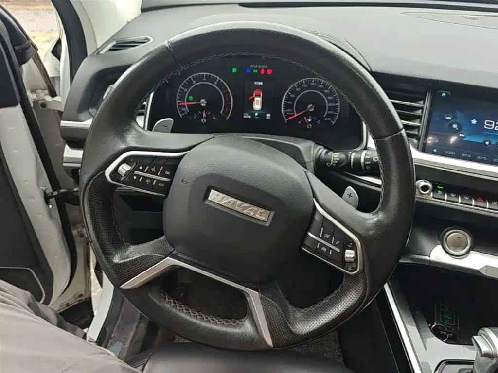 Haval H6 2018 Red Label 1.5T Automatic Luxury фото 17