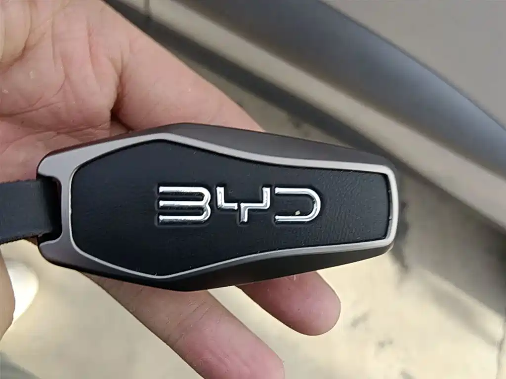 BYD Sealion 06 New Energy 2025 EV 605 Pilot Pro Edition фото 9