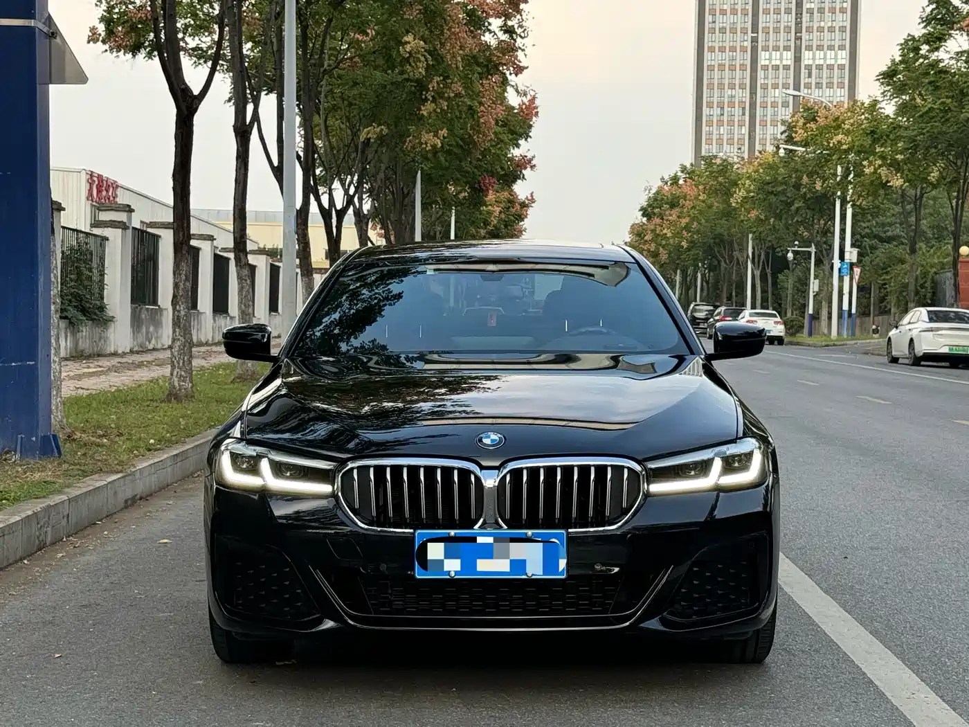 BMW 5 SERIES