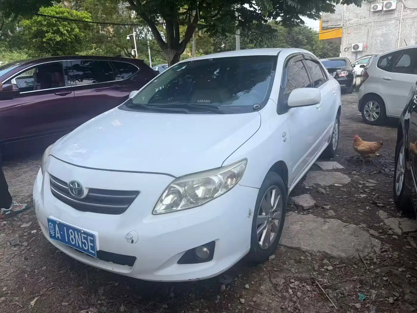Toyota Corolla 2008 Sport Edition 1.8L Automatic GLX-S