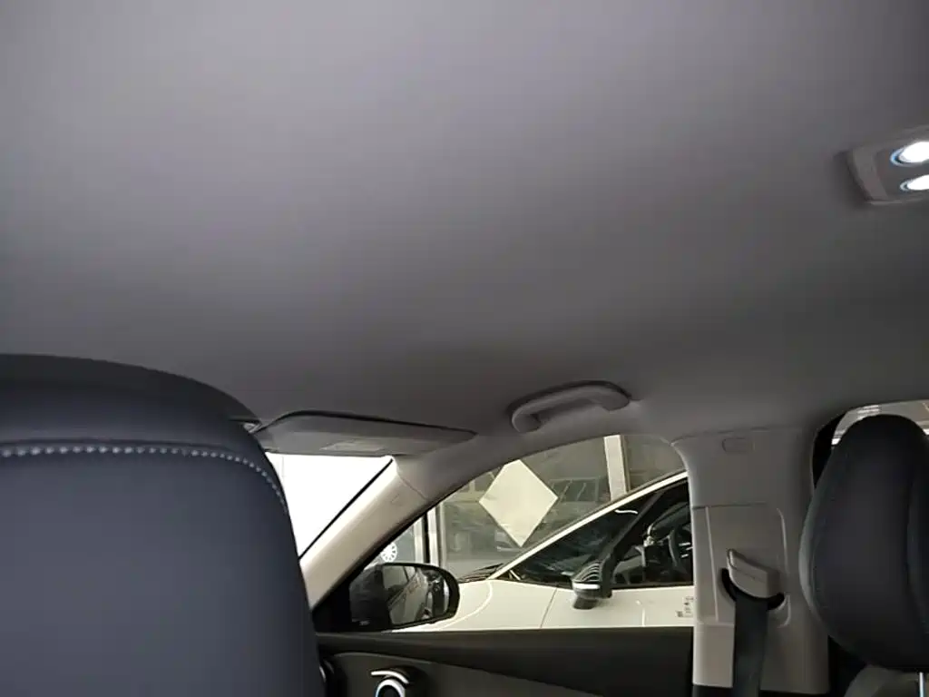 BYD Yuan PLUS 2025 2025 Model Intelligent Driving Edition 510KM Leading Version