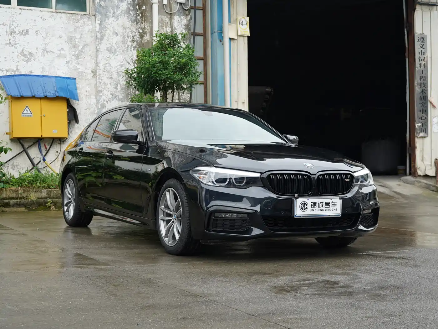 BMW 5 Series 2018 525Li M Sport Package фото 3