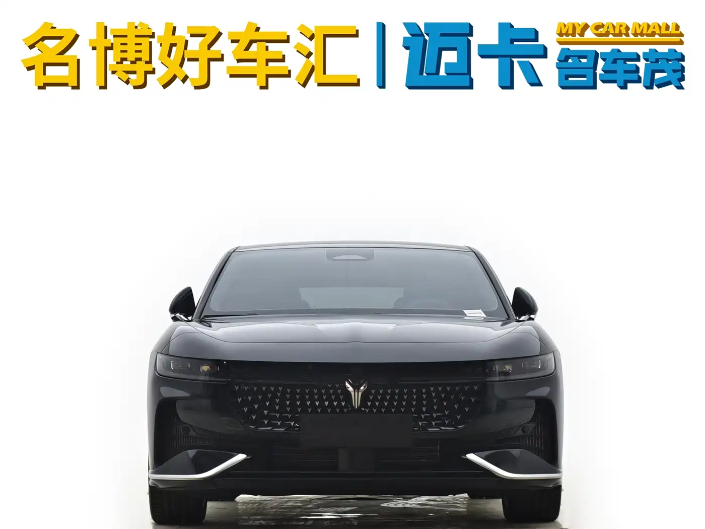 Voyah Auto VOYAH Zhuiguang 2024 PHEV AWD Ultra Long Range Flagship фото 2