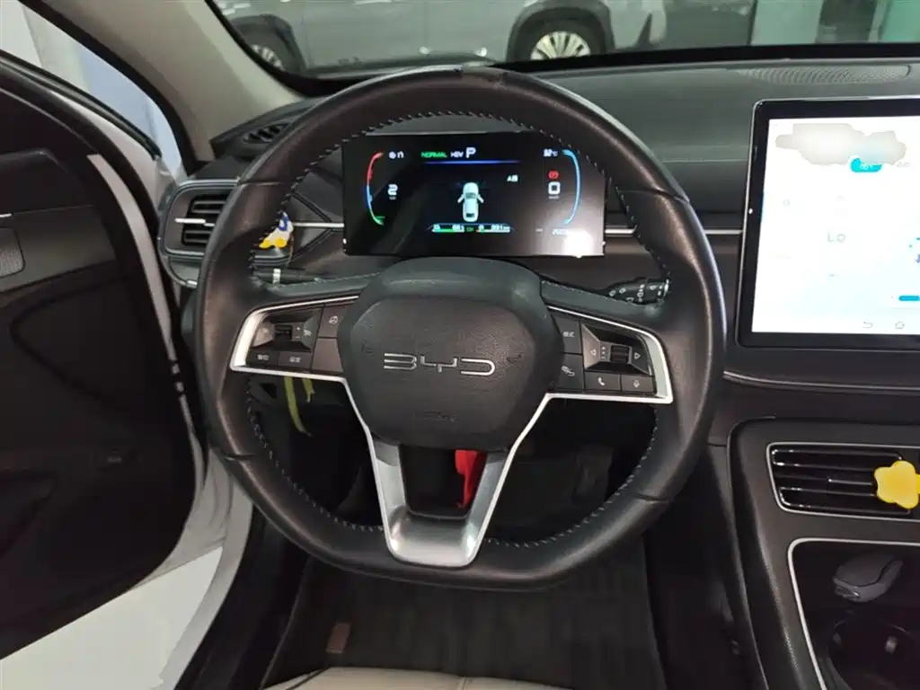 BYD Destroyer 05 2024 Glory Edition DM-i 55KM Luxury фото 11