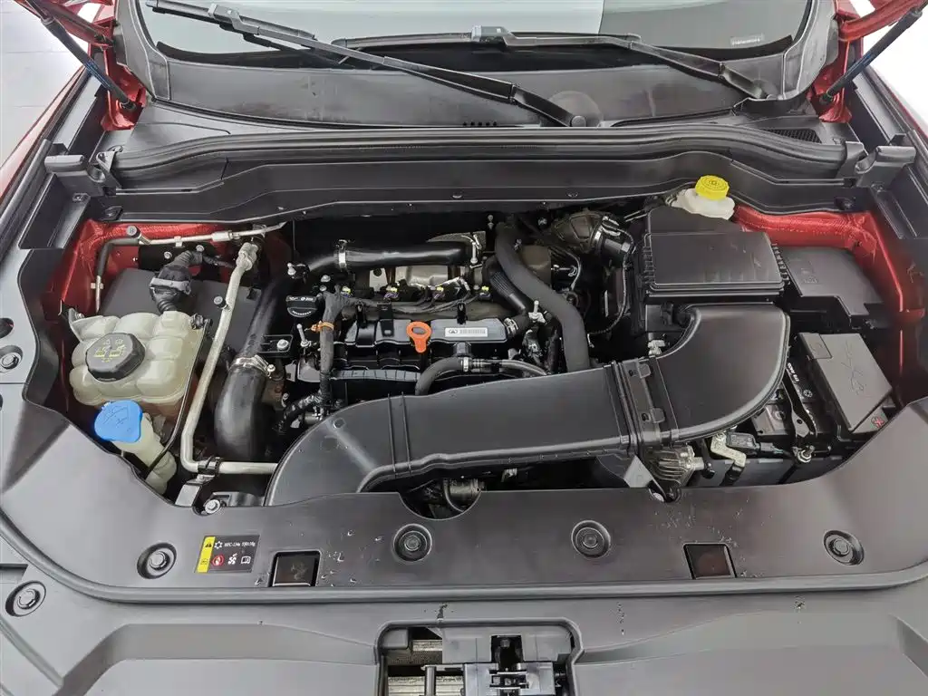 Haval H6 2020 1.5GDIT Automatic Platinum Champion Edition фото 6