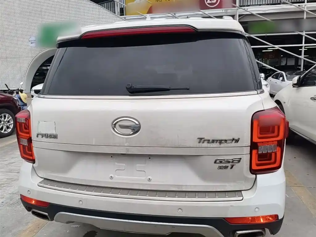 GAC Trumpchi Trumpchi GS8 2017 320T 2WD Luxury Smart Connect (7-seater) фото 6