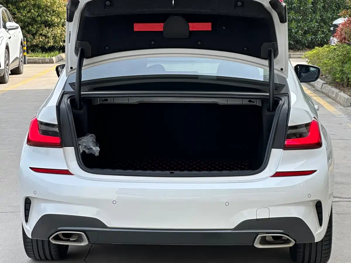 BMW 3 Series 2020 Facelift 325Li Launch Edition фото 23