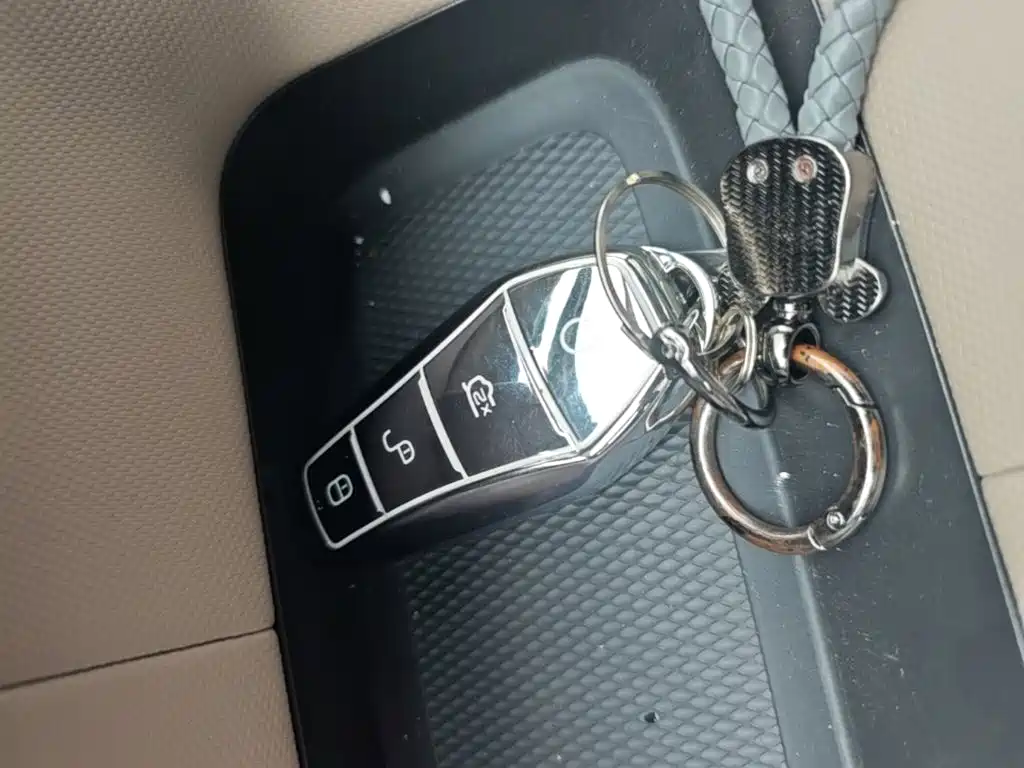 BYD Dolphin 2026 2025 420km Freedom Edition
