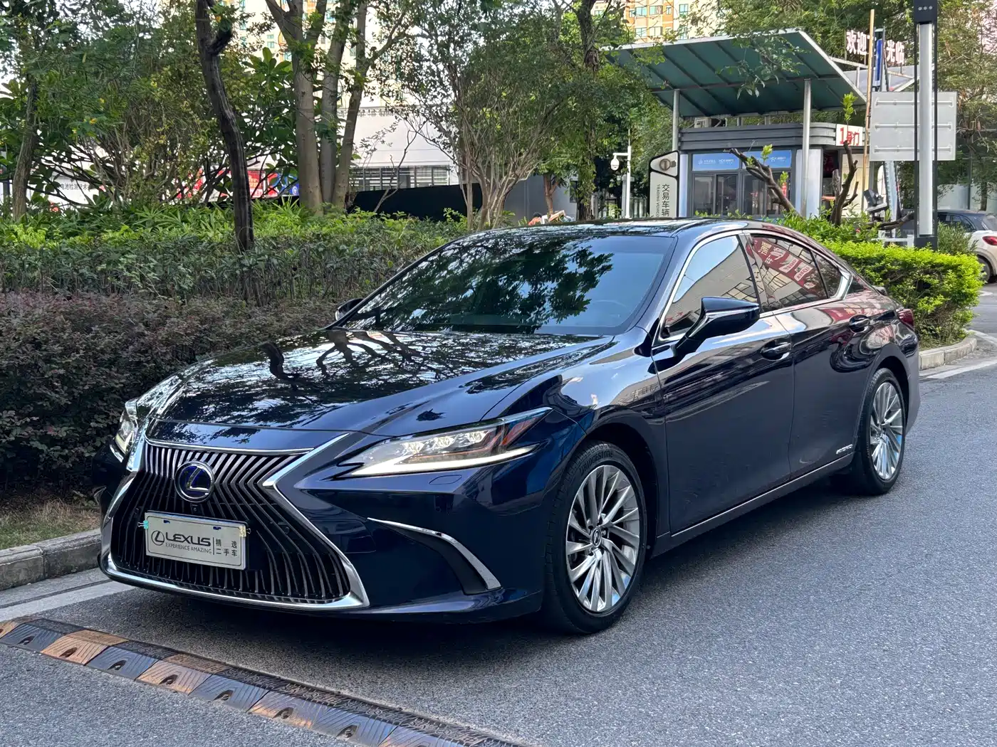 Lexus ES 2018 300h Executive Edition China V